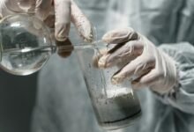 global industry dynamics analysis