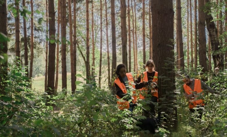 digital search presence planner